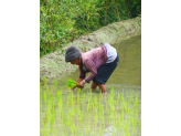 Philippines - Luzon