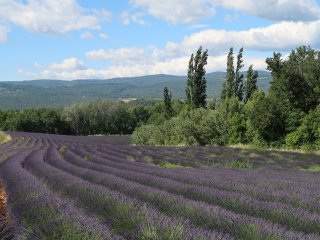 Provence