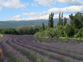 Provence