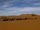 Sahara trip