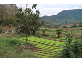 Laos