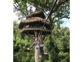 Gibbon Experience