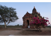 Bagan