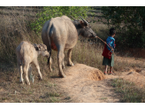 Kalaw to Inle