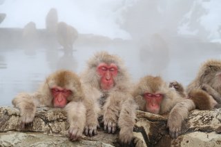 Japanese Alps