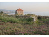 Lebanon