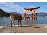 Hiroshima & Miyajima