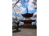 Hiroshima & Miyajima