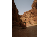 Petra