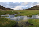 Reykjavik & South Iceland