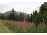 High Tatras