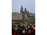 Krakow & Around