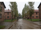 Oswiecim - Auschwitz