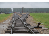 Oswiecim - Auschwitz