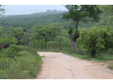 Kruger National Park