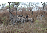 Kruger National Park