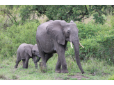 Kruger National Park