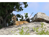 Kruger National Park