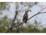 Kruger National Park