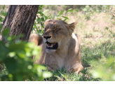 Kruger National Park