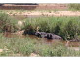 Kruger National Park