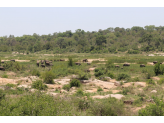 Kruger National Park