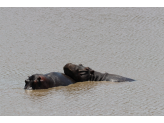 Kruger National Park