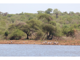 Kruger National Park