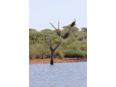 Kruger National Park