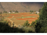 Lesotho