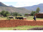 Lesotho