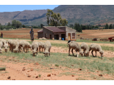 Lesotho