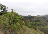 Drakensberg