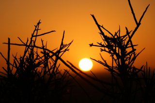 Southern Namibia