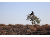 Southern Namibia