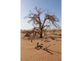 Southern Namibia