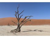 Southern Namibia