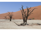 Southern Namibia