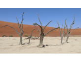 Southern Namibia