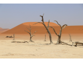 Southern Namibia