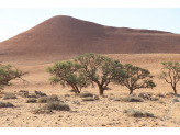 Southern Namibia