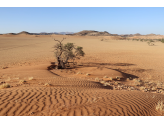 Southern Namibia