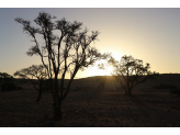 Southern Namibia