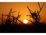 Southern Namibia