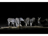 Southern Namibia