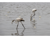 Southern Namibia