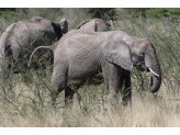 Northern Namibia