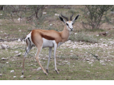 Northern Namibia