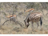 Northern Namibia