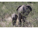 Northern Namibia